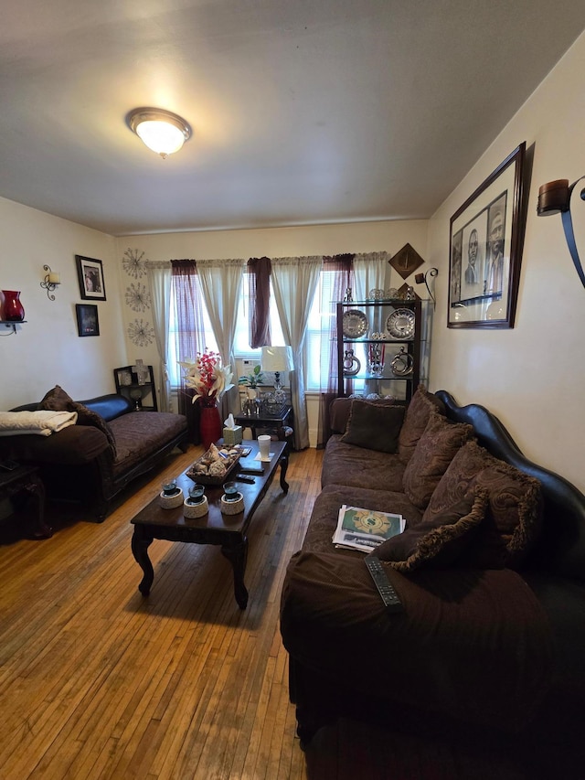 living room with hardwood / wood-style floors
