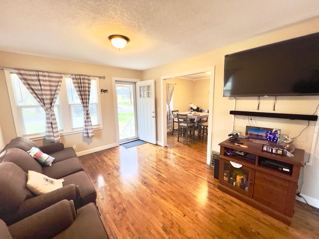 living room featuring baseboards, a textured ceiling, and wood finished floors