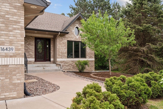 16439 Tippecanoe St NE, Ham Lake, MN 55304 - property entrance featuring roof with shingles and brick siding