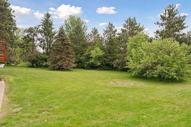 16439 Tippecanoe St NE, Ham Lake, MN 55304 - view of grassy yard