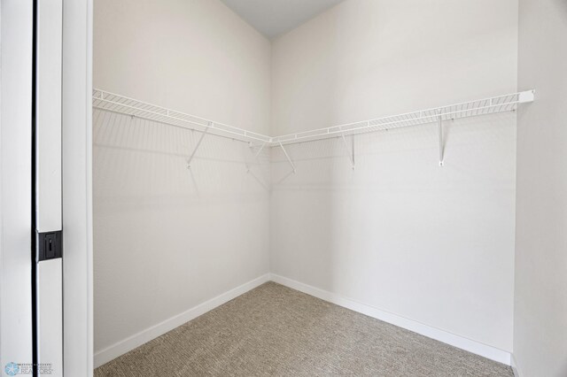 walk in closet featuring carpet