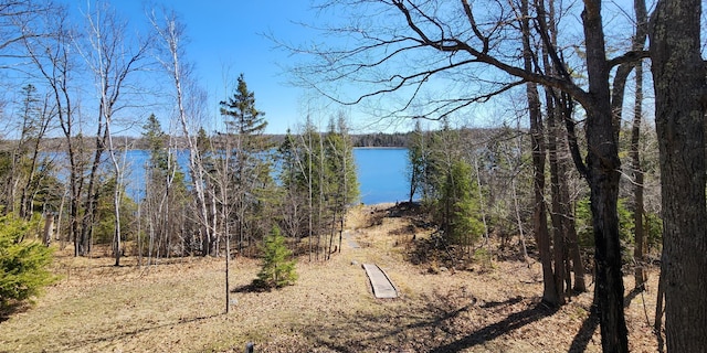 property view of water featuring a wooded view