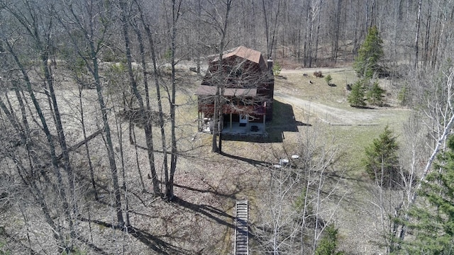 bird's eye view
