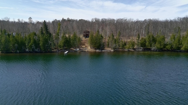 view of water feature featuring a forest view