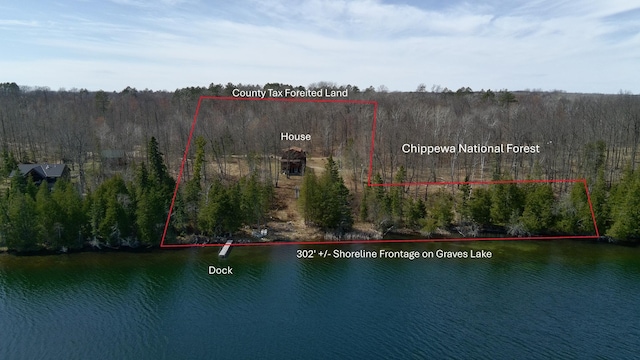 drone / aerial view with a water view and a forest view
