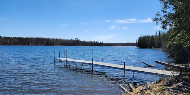 view of dock with a water view and a wooded view