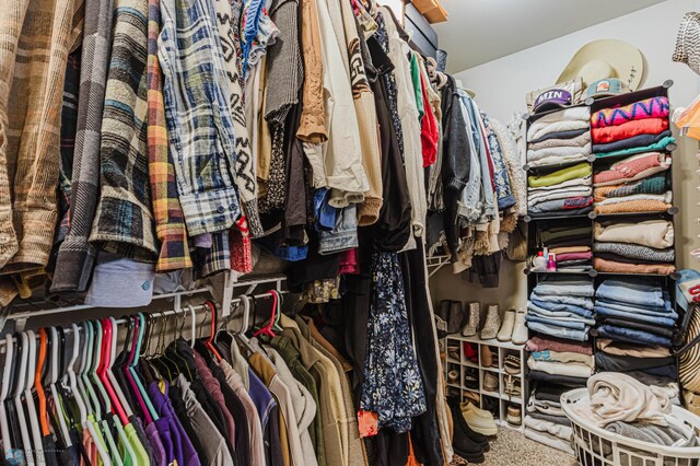 view of walk in closet
