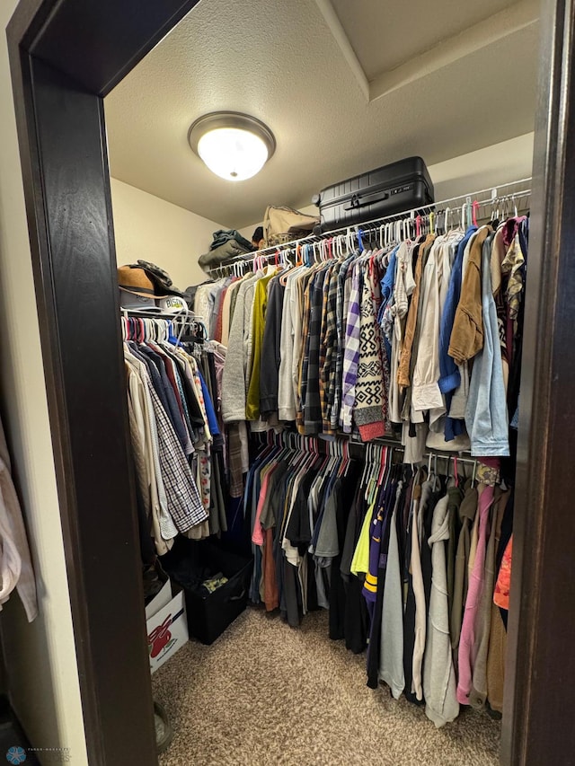 5595 Tuscan Ct S, Fargo, ND 58104 - walk in closet featuring carpet flooring and attic access