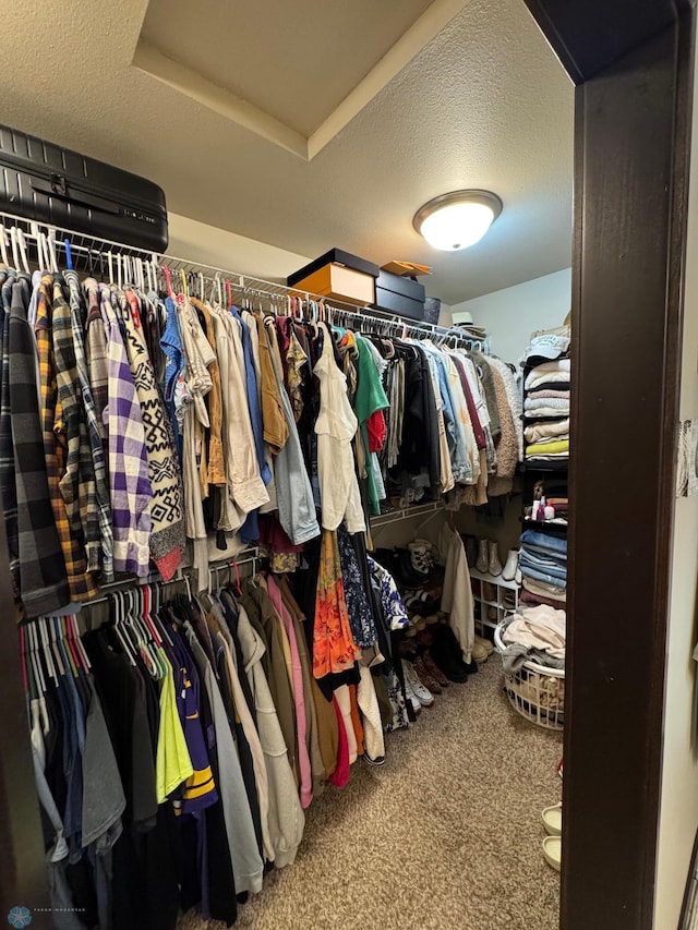 5595 Tuscan Ct S, Fargo, ND 58104 - spacious closet with carpet