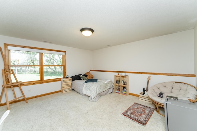 1315 Wicklow Ln SW, Rochester, MN 55902 - carpeted bedroom with baseboards