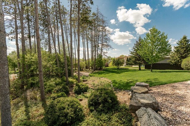 1315 Wicklow Ln SW, Rochester, MN 55902 - view of grassy yard