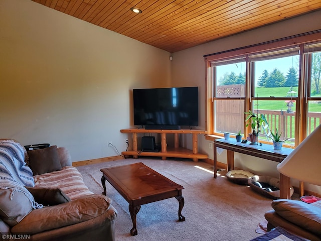 1603 86th Ave, Hammond Twp, WI 54015 - living area featuring wood ceiling, carpet floors, and baseboards