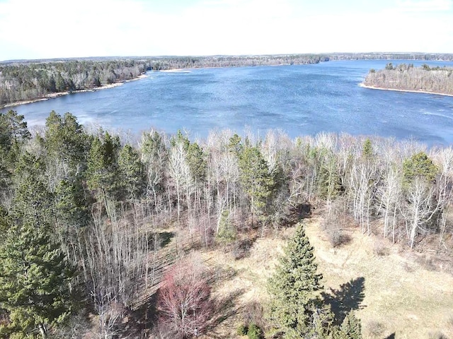 2040 24th Ave SW, Pine River Twp, MN 56435 - photo 1