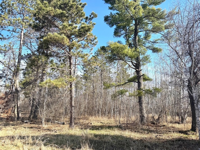 2040 24th Ave SW, Pine River Twp, MN 56435 - photo 2