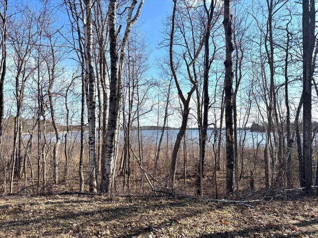 2040 24th Ave SW, Pine River Twp, MN 56435 - photo 10