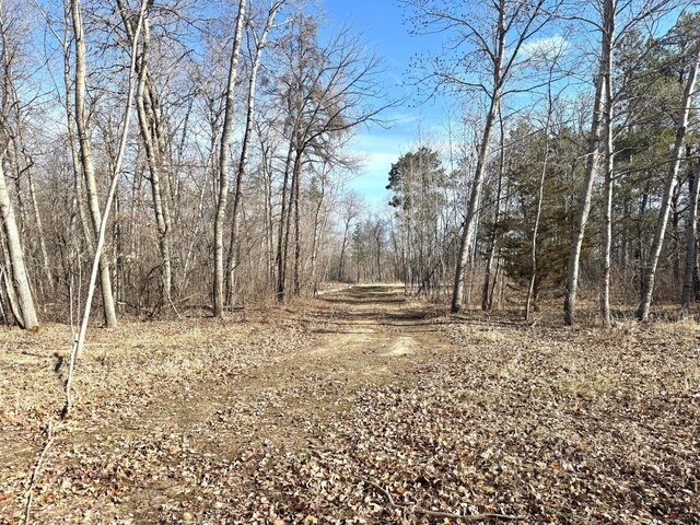 2040 24th Ave SW, Pine River Twp, MN 56435 - photo 13