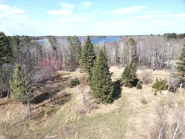 2040 24th Ave SW, Pine River Twp, MN 56435 - photo 16