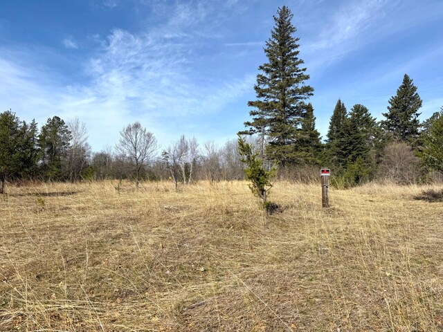 2040 24th Ave SW, Pine River Twp, MN 56435 - photo 20