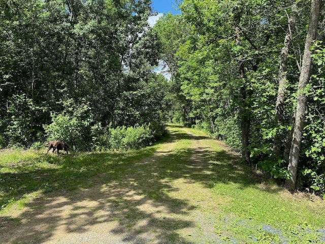 27530 Steel Bridge Rd NE, Waskish, MN 56685 - view of street featuring a forest view