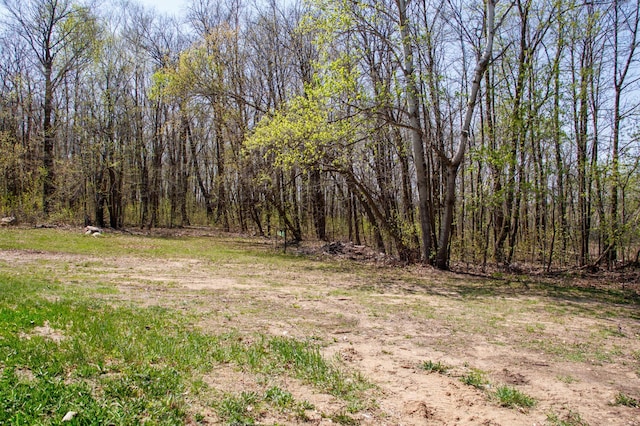 48751 153rd Ave, Verndale, MN 56481 - view of wooded area