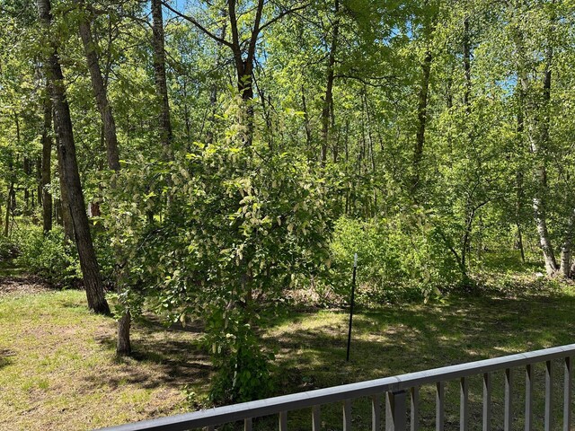 32305 W St, Breezy Point, MN 56472 - view of nature