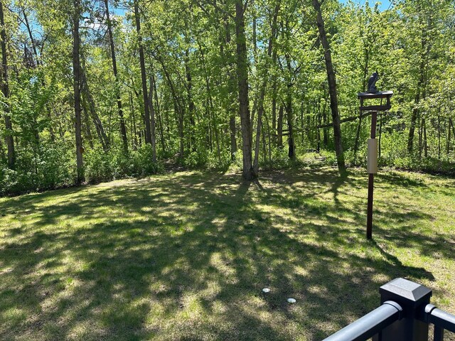 32305 W St, Breezy Point, MN 56472 - view of green lawn with a view of trees