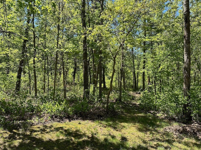 32305 W St, Breezy Point, MN 56472 - view of tree filled area