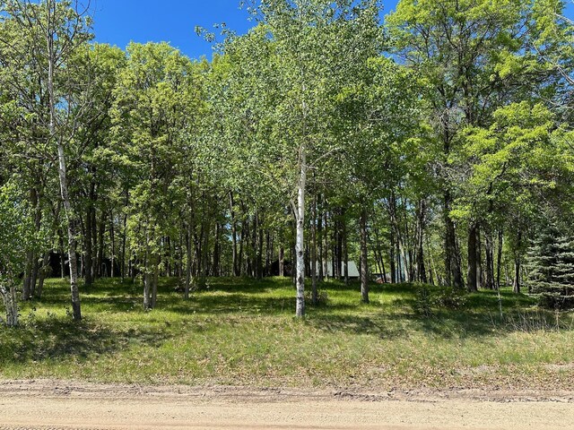 32305 W St, Breezy Point, MN 56472 - view of local wilderness