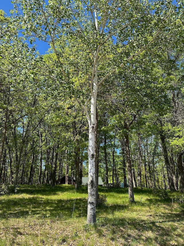 32305 W St, Breezy Point, MN 56472 - view of yard