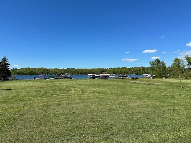 32305 W St, Breezy Point, MN 56472 - view of grassy yard featuring a water view