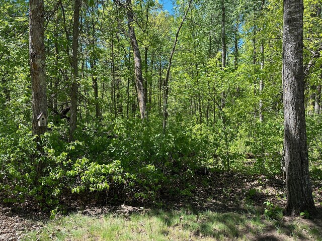 32305 W St, Breezy Point, MN 56472 - view of tree filled area