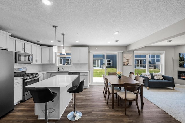 1144 Middlefield Rd, Medina, MN 55340 - kitchen with stainless steel appliances, a sink, dark wood-style floors, tasteful backsplash, and a textured ceiling