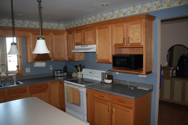 2200 216th St, Hamlin Twp, MN 56256 - photo 39