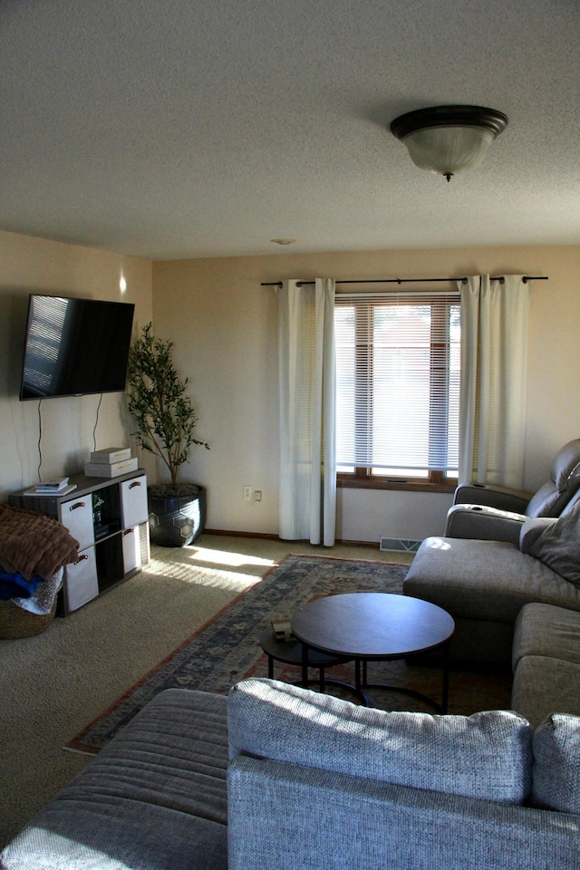 2200 216th St, Hamlin Twp, MN 56256 - photo 43