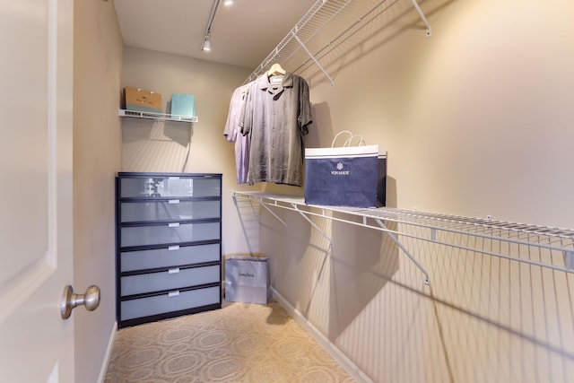 6942 151st St, Savage, MN 55378 - view of spacious closet