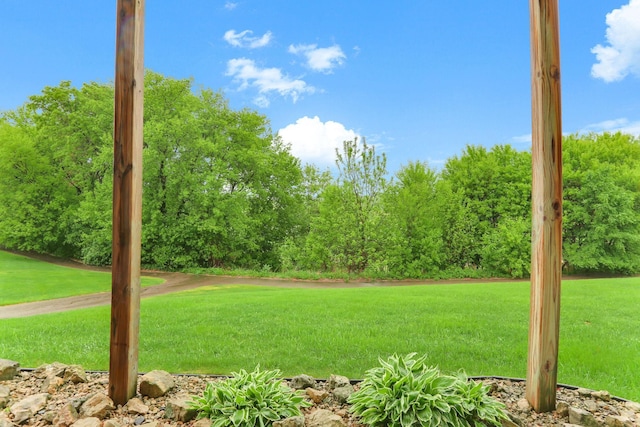6942 151st St, Savage, MN 55378 - view of green lawn