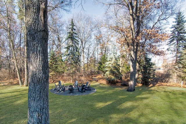 5360 Marohn Rd, Baxter, MN 56425 - view of yard featuring a fire pit
