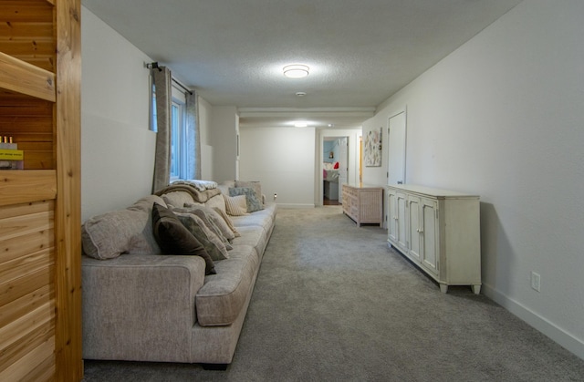 5360 Marohn Rd, Baxter, MN 56425 - living room with baseboards, a textured ceiling, and light carpet