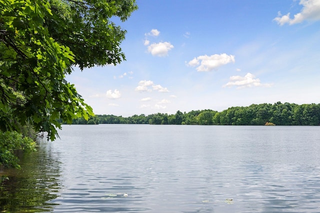 water view featuring a view of trees