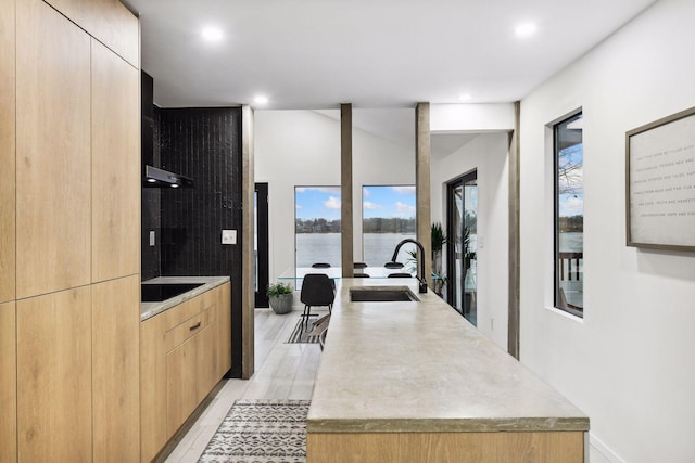 kitchen featuring light countertops, black electric stovetop, a sink, and modern cabinets