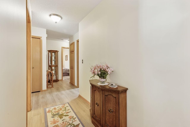 11521 Poppy St NW, Coon Rapids, MN 55433 - hall featuring light wood-style floors