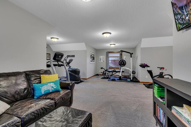 912 21st Ave N, Sartell, MN 56377 - exercise room with baseboards, a textured ceiling, and carpet floors
