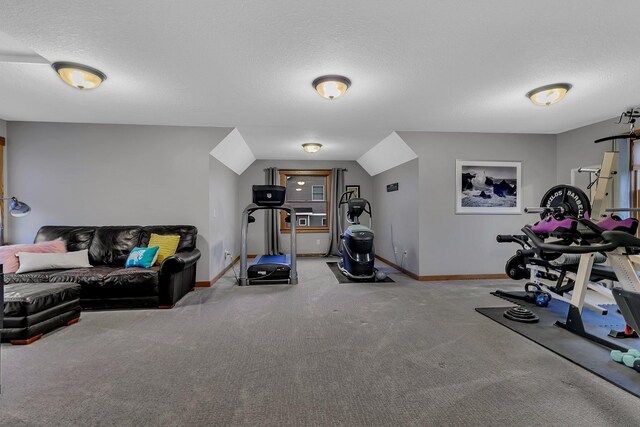912 21st Ave N, Sartell, MN 56377 - exercise area with baseboards, a textured ceiling, and carpet