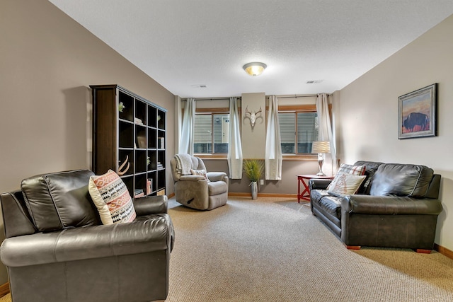 912 21st Ave N, Sartell, MN 56377 - living area with carpet floors, baseboards, and visible vents
