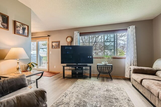living area featuring plenty of natural light, baseboards, a textured ceiling, and wood finished floors