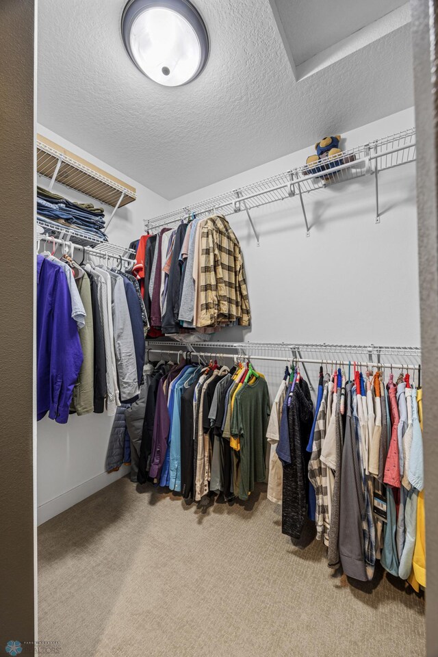 walk in closet with carpet
