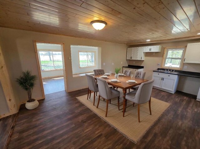 dining room with baseboards, wood ceiling, and dark wood-type flooring