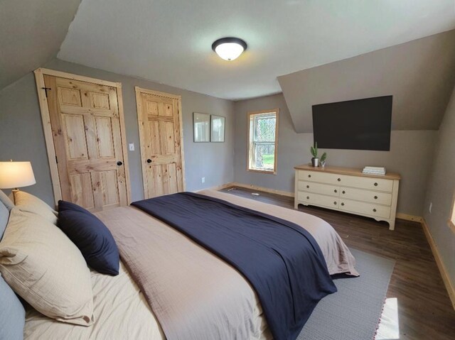 bedroom featuring multiple closets, baseboards, wood finished floors, and lofted ceiling
