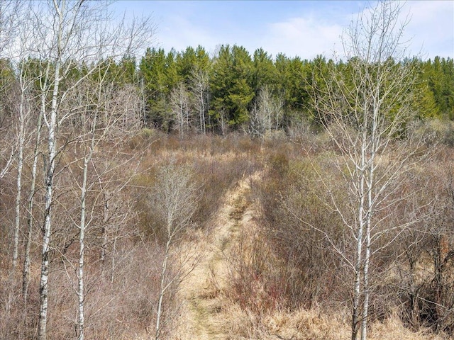 1500 40th St SW, Pine River, MN 56474