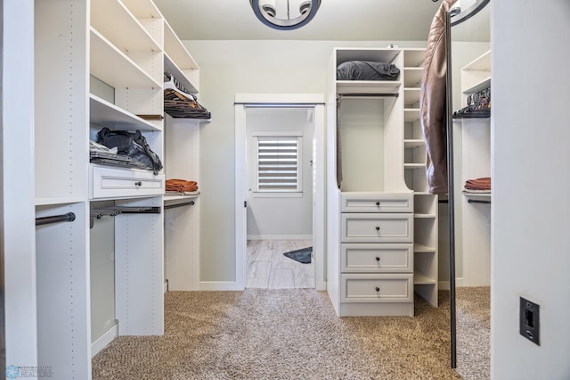 6028 Silverleaf Dr S, Fargo, ND 58104 - spacious closet featuring carpet flooring